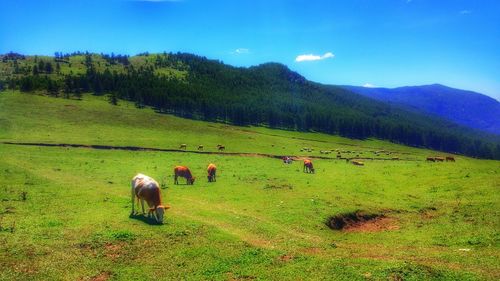 Scenic view of landscape against cloudy sky