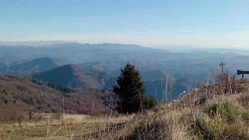 scenics - nature