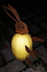 Close-up of yellow flower