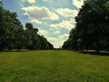 Trees on grassy field against cloudy sky