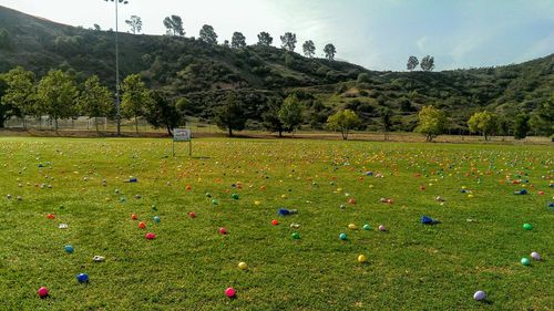 Multi colored easter eggs on grassy field against mountain at park