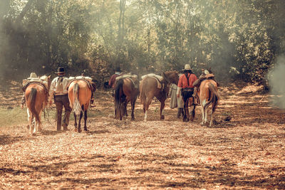 Horses riding horse on field