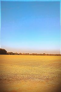 Scenic view of agricultural field against clear blue sky