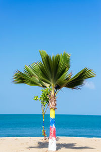 Palm tree by sea against clear blue sky