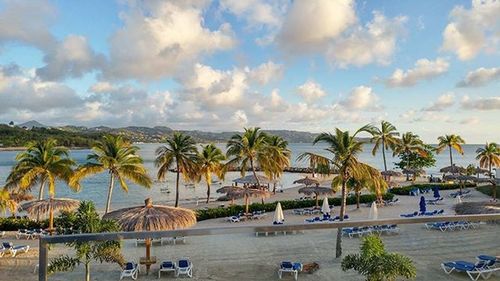 Palm trees against cloudy sky