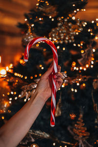 Female hands holding red white cane sweet candy lollipop against the background of christmas tree.
