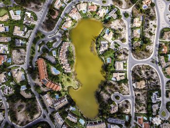 High angle view of trees and buildings in city