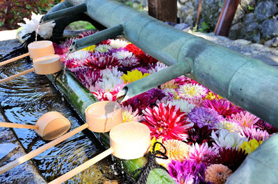 High angle view of various flowers in water
