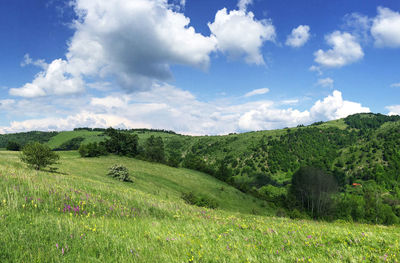 Scenic view of landscape against sky