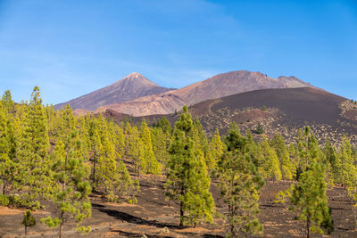 Panoramic view at volcano teide on spanish island tenerife