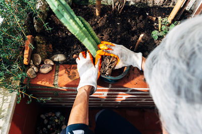 High angle view of man working in back yard