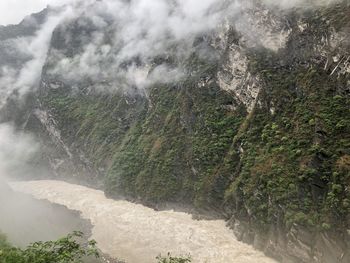 Scenic view of river amidst trees