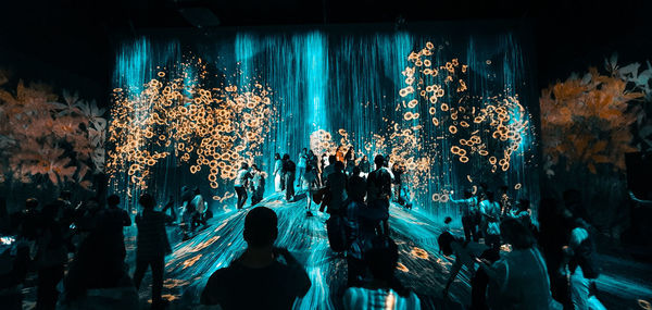 Group of people at music concert