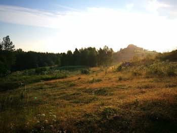 Scenic view of field against sky