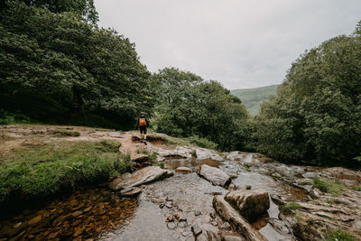 Rear view of man walking on mountain