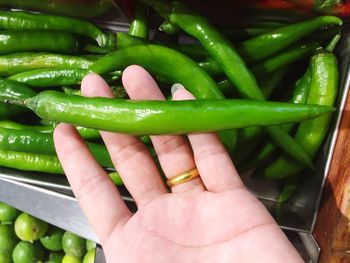 Close-up of hand holding green chili pepper