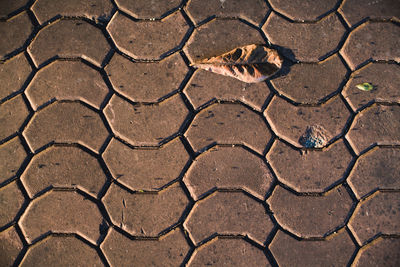 Full frame shot of tiled floor