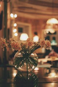 Close-up of illuminated flower vase on table at night