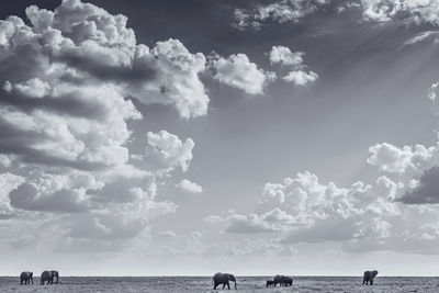 People by sea against sky