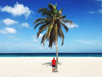 Rear view of man standing by palm tree at beach during sunny day