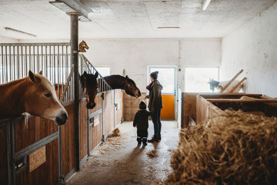 Mother and child feeding a horse in a stable at farm in winter