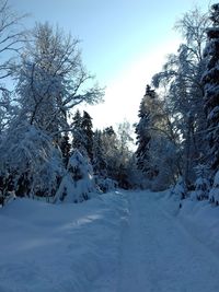 Trees on snow covered landscape against sky