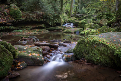 River flowing through rocks in forest