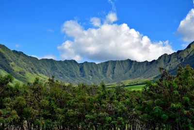 Scenic view of landscape against cloudy sky