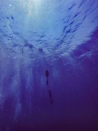 Silhouette people swimming in sea