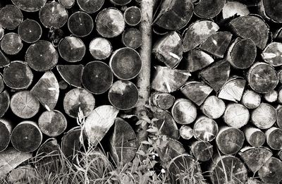 Full frame shot of logs