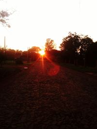 Road amidst trees against clear sky during sunset