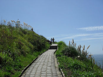 Footpath leading towards trees