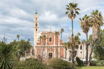 Palm trees and buildings against sky