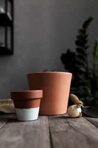 Ceramic pots on an old gray wooden table, tulip bulbs. high quality photo