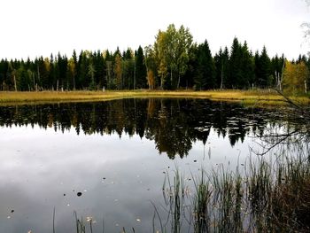 Reflection of trees in lake against sky