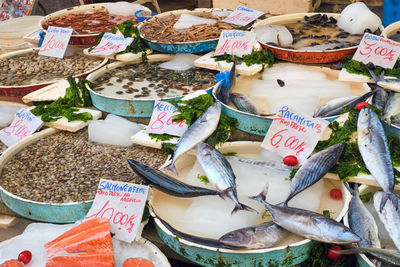 Seafood, mussels and fish for sale at a market in naples, italy