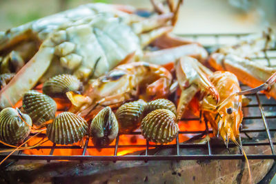 Close-up of seafood on barbecue grill