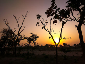 Silhouette trees against sky during sunset