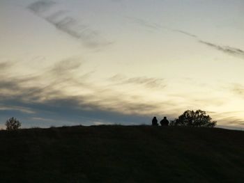 Silhouette of trees on field against sky at sunset