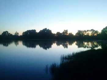 Reflection of trees in calm lake