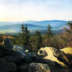 Kösseine im fichtelgebirge 