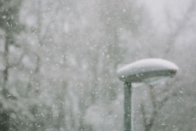 Close-up of raindrops on snow