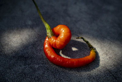 High angle view of orange bell peppers