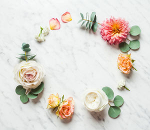 High angle view of roses on table