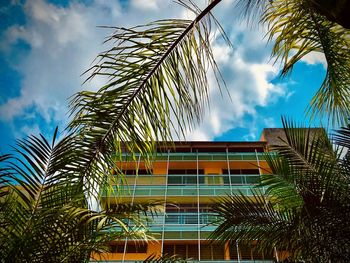 Low angle view of palm tree against building