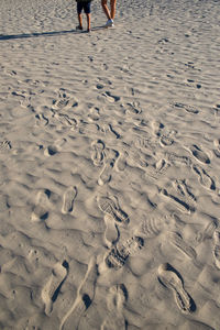 Low section of person standing on beach
