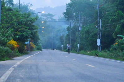 Street amidst trees and plants in city
