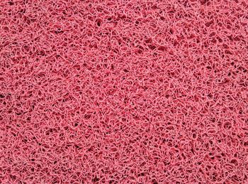 Full frame shot of pink petals on carpet