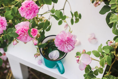 Hot herbal tea with rose petals in ceramic tea cup outdoors