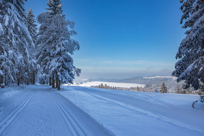 Trees on snow covered landscape against blue sky